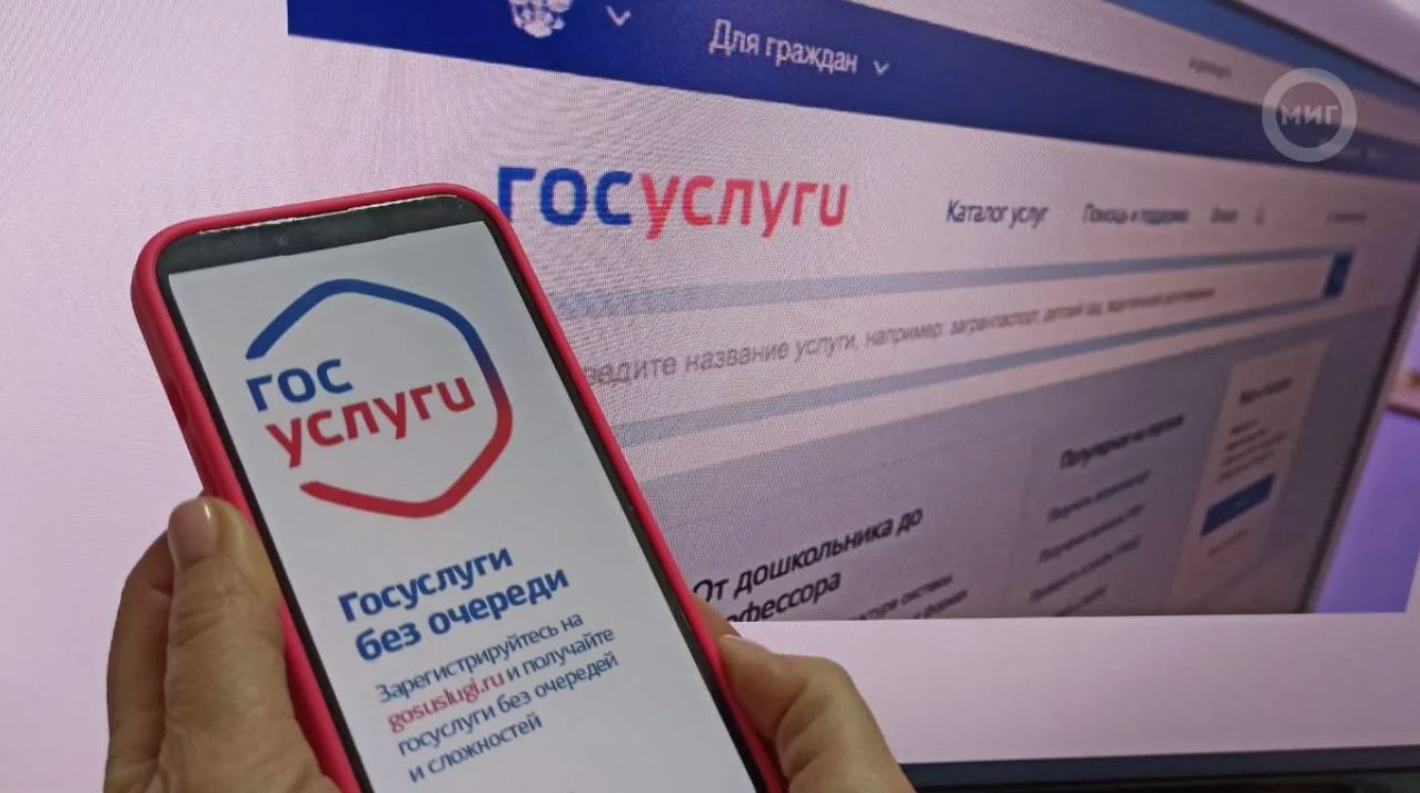 Меры социальной поддержки